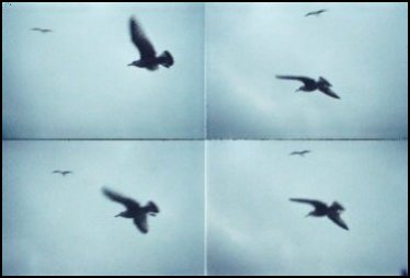 lomographie serie 2
