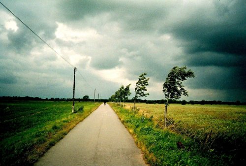 photo lomographie, A v�lo sur les routes des bords de l'Elbe