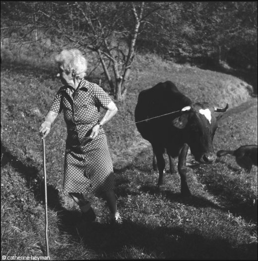 la clemence des finet 