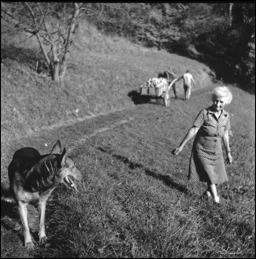 la clemence des finet 