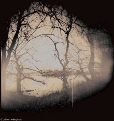 Pinhole, Berlin pinhole; Les bords de l'Elbe
