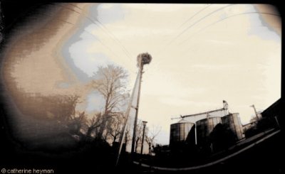 Pinhole, Berlin pinhole; Nid de cigogne dans LPG