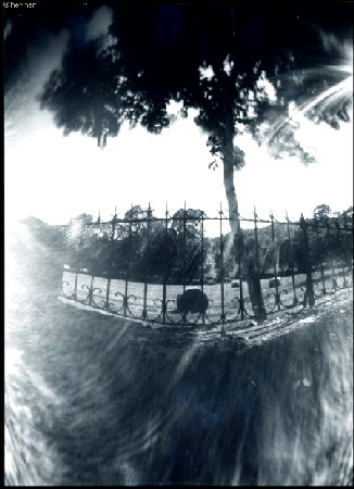 Pinhole, Les meules de foin, le pr�  de Pradines