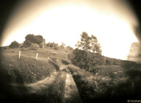 Photo pinhole en Is�re, Chemin sur le plateau de montsec