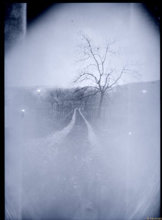 Isere Catherine Heyman